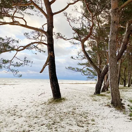 10 Helene Mit 2 Balkone Baabe